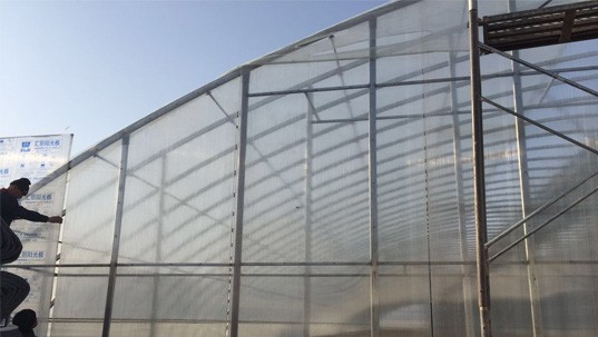 甘肅蘭州市榆中縣康源農(nóng)業(yè)合作社應(yīng)用案例